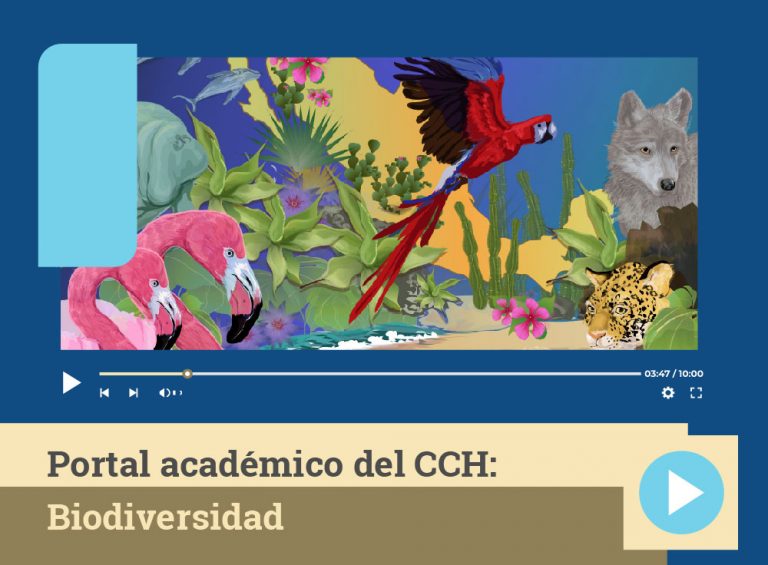 Los Organismos Internacionales Y La Biodiversidad Ante Los Fenómenos De ...