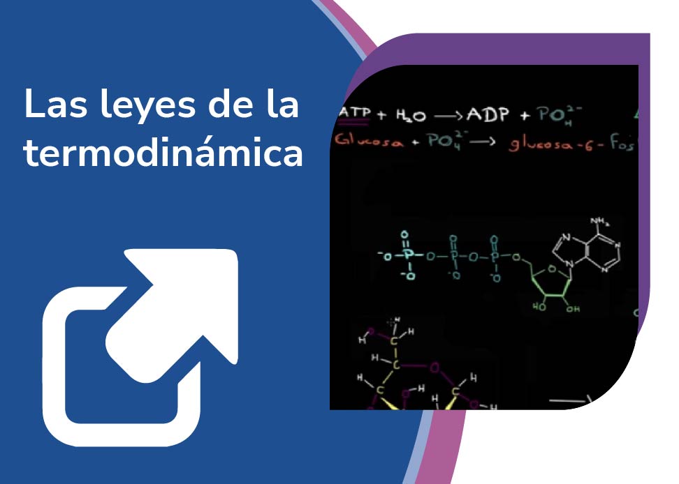 La Energía En Los Procesos De La Vida – Alianza B@UNAM, CCH & ENP Ante ...